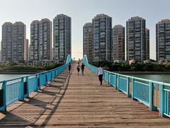 -五缘湾湿地公园