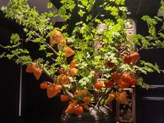 -炳胜公馆(珠江新城店)