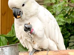 -南宫五洲植物乐园