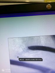 -渲格造型