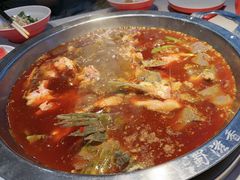 -蜀滋香鲜鱼美蛙火锅(339店)