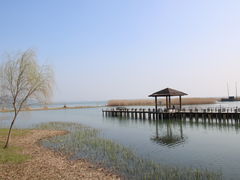 -苏州太湖湖滨国家湿地公园