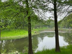 -贡湖湾湿地公园