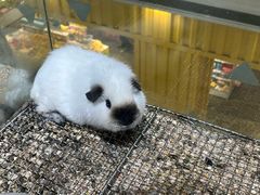 -万达广场(南京江宁店)