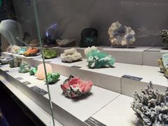 -河南自然博物馆