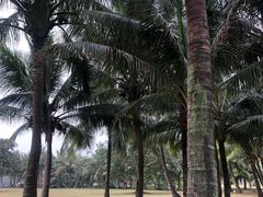 -白沙门生态公园