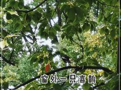 -申粤轩酒楼·三十年粤菜经典(丁香花园店)