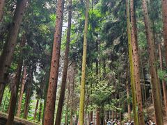 -梭布垭石林景区