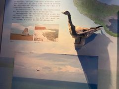 -青藏高原自然博物馆