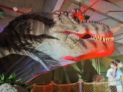 -恐龙探索乐园(磁器口店)