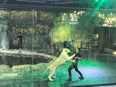 -清迈夜间动物园