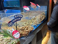 -徐记海鲜·宴会(大唐西市|丰庆店)