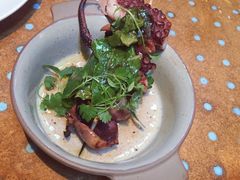 -State Bird Provisions