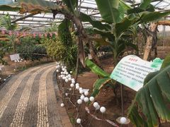 -万源龙顺度假庄园生态观光园