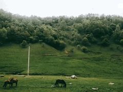 -关山草原
