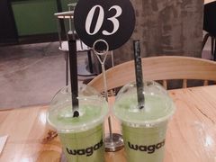 -Wagas沃歌斯(大学路店)