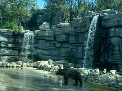 -北京野生动物园