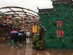 -婺源梦里老家大型山水实景演出