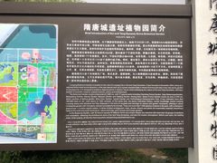 -洛阳市隋唐城遗址植物园