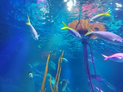 -沈阳海洋探索中心