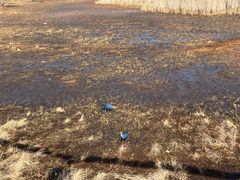 -泸沽湖国家级风景名胜区走婚桥