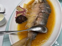 -新吉士·上海菜(浦东LCM置汇旭辉店)