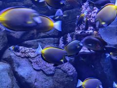 -成都浩海立方海洋公园