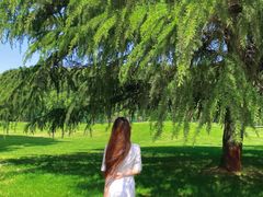 -河南省黄河迎宾馆