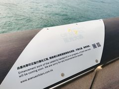 -星光大道