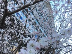 -三个大叔东北烧烤·砂锅菜(西三旗店)