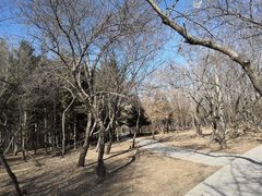 -长春公园(普阳街道)