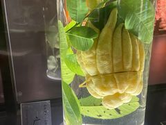 -广东中医药博物馆