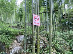 -山沟沟景区