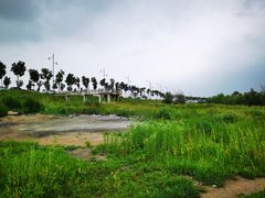 -哈尔滨大剧院
