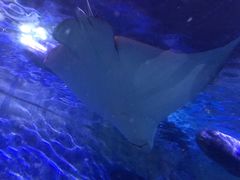-厦门海底世界