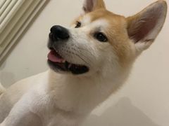 -蛙蛙叫干锅年代(簋街总店)