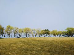 -柳浪闻莺公园
