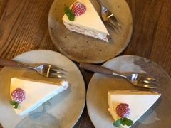 -春风十里咖啡馆