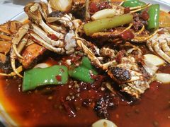 -杨氏青龙虾·羊蝎子(托乐嘉店)