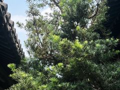 -常熟方塔园
