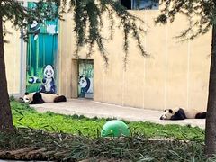 -西安秦岭野生动物园