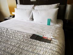 -青岛富力艾美酒店