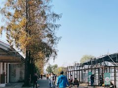 -前小桔亲子创意农场·草莓采摘·露营烧烤