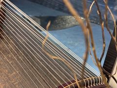 -素禅棋牌会所(海阳路店)