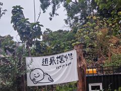 -火炉山森林公园