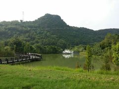 android_upload_pic-仙桥地下河