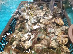 -阳光岛·海鲜盛宴(银泰中心in99店)