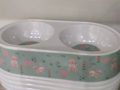 -柚子猫舍·精品猫舍购猫·猫咪认养·购宠·宠物店