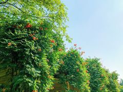 -海文实验幼儿园