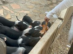 -HERRE·FARM 赫尔露营农场·团建聚会包场